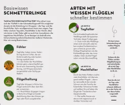 Basic Schmetterlinge