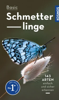 Basic Schmetterlinge