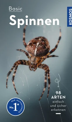 Basic Spinnen
