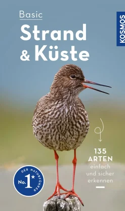 Basic Strand und Küste