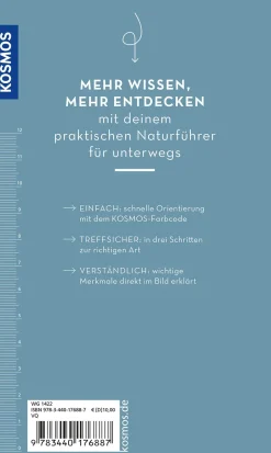 Basic Strand und Küste
