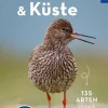 Basic Strand und Küste