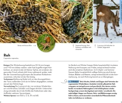 BASIC Tierspuren