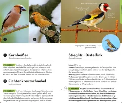 BASIC Vögel