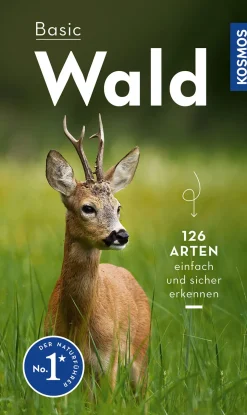 Basic Wald