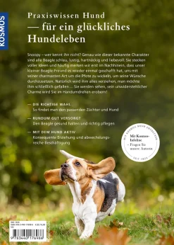 Beagle