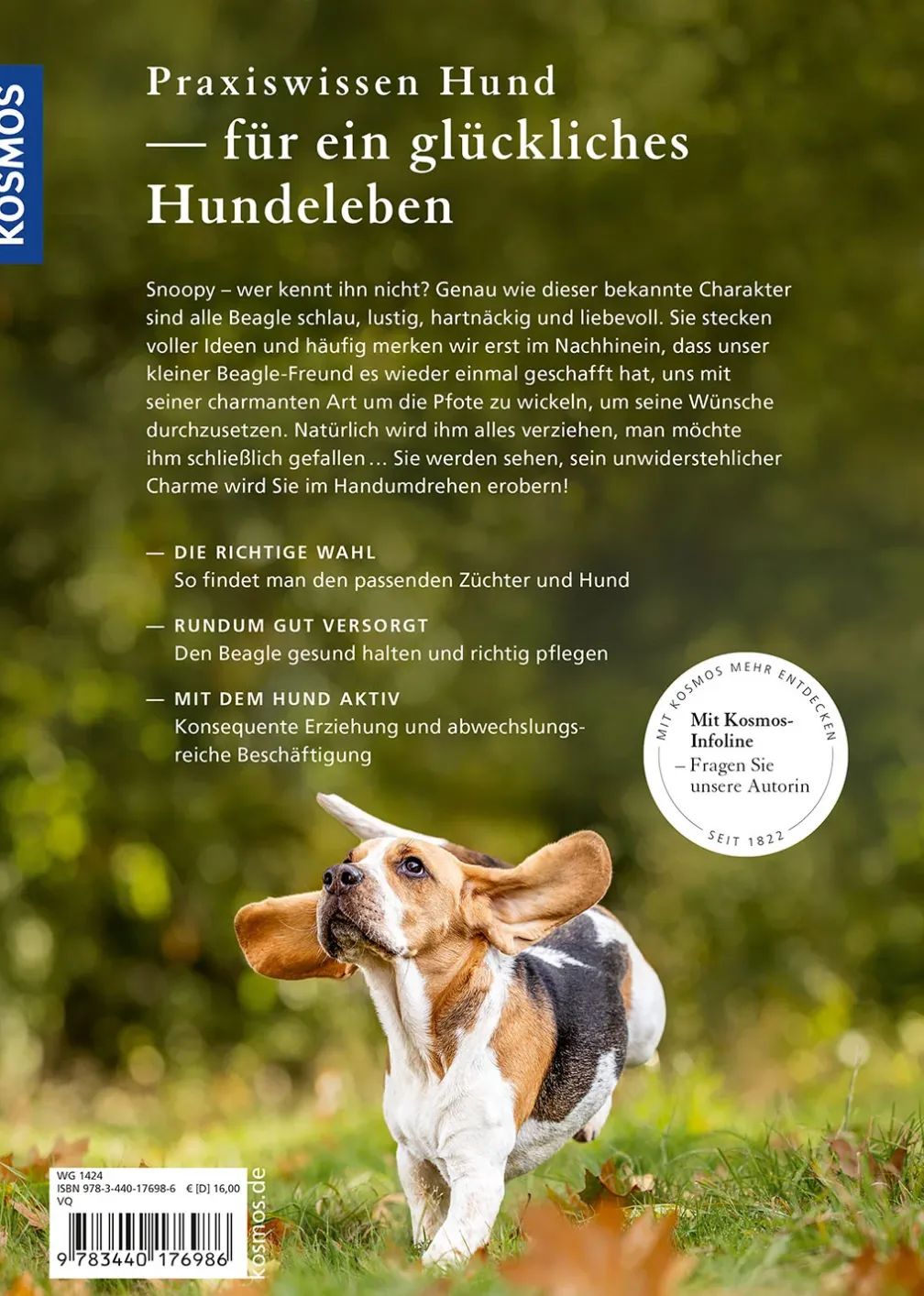 Beagle