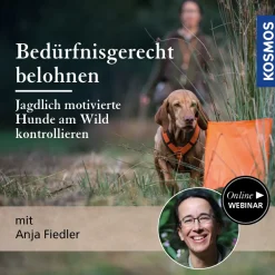 Bedürfnisgerecht belohnen – Jagdlich motivierte Hunde am Wild kontrollieren