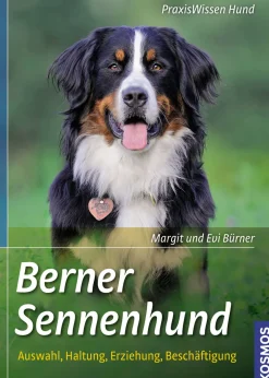 Berner Sennenhund