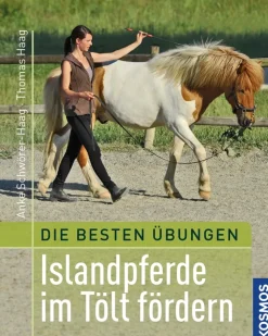 Beste Übungen: Islandpferde im Tölt fördern