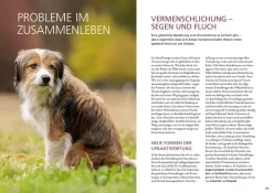 Beziehung, Erziehung, Bindung