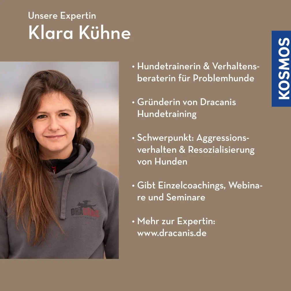 Beziehung im Blick – Verhalten verstehen