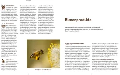 Bienen halten mit der BienenBox