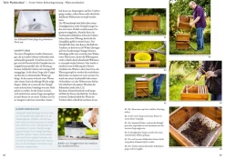 Bienenwachs und Wachskreislauf