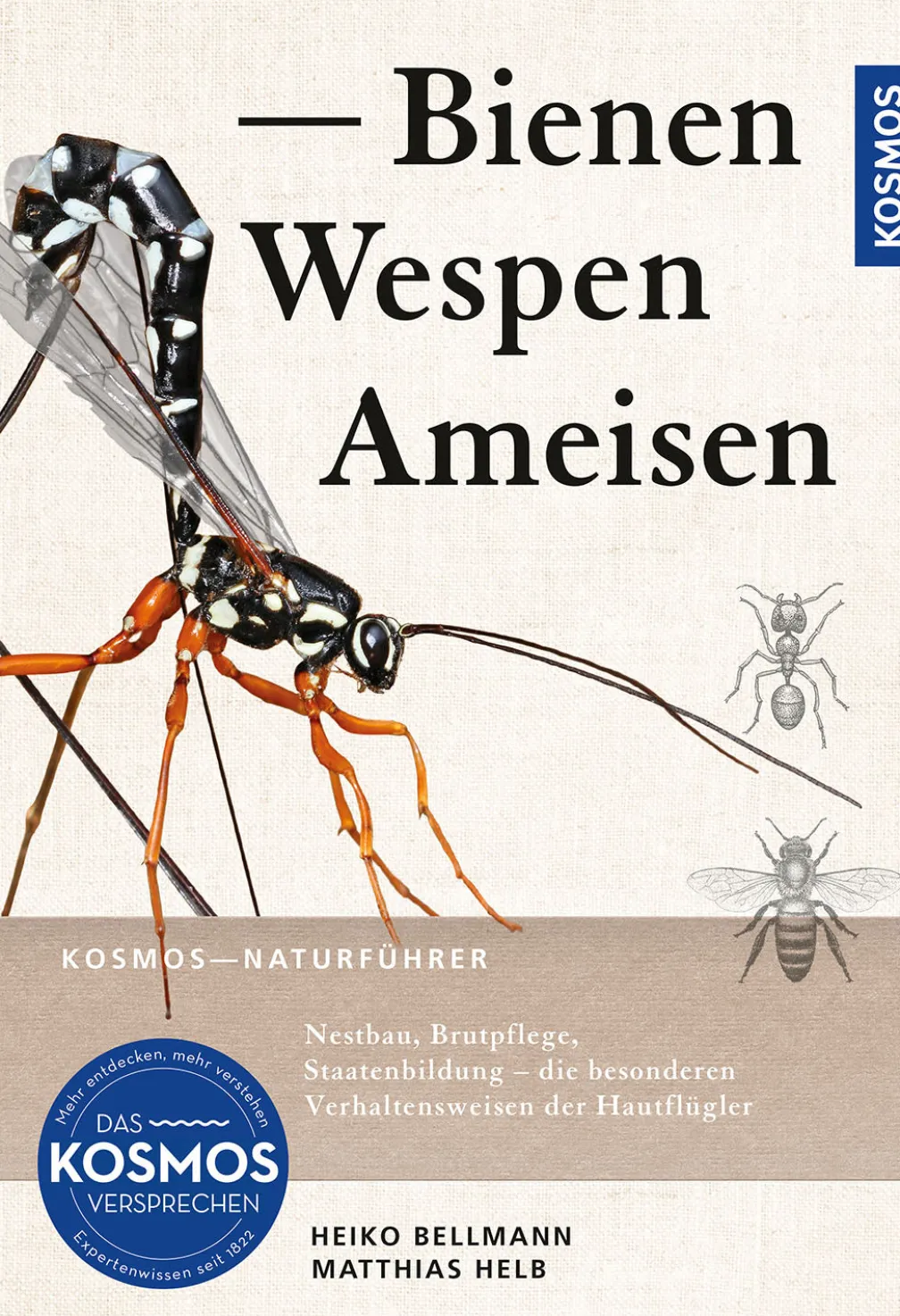 Bienen, Wespen, Ameisen