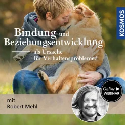 Bindung und Beziehungsentwicklung als Ursache für Verhaltensprobleme?