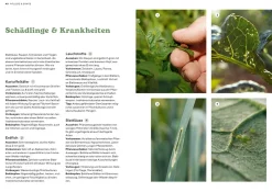 Biogärtnern