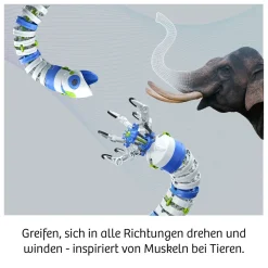 Bionic Robotic Arm