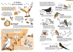 Birding für Ahnungslose