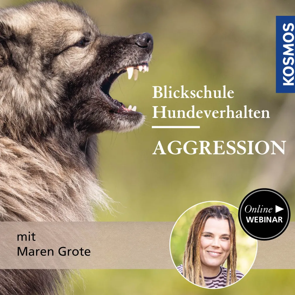 Blickschule Hundeverhalten – Aggression