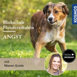 Blickschule Hundeverhalten – Angst