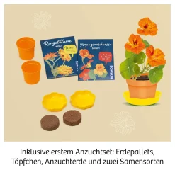 Blüten-Presse