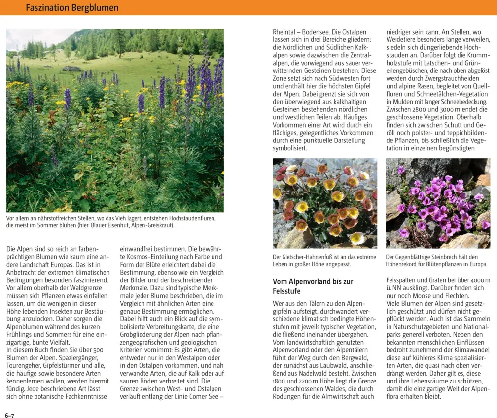 Blumen der Alpen