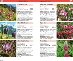 Blumen der Alpen