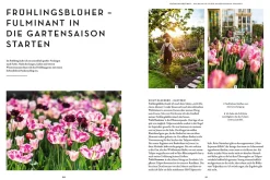 Blumen, Kohl & Rock'n'Roll