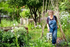 Blumen, Kohl & Rock'n'Roll