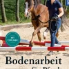 Bodenarbeit für Pferde