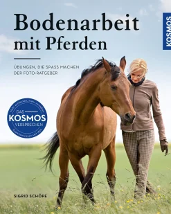 Bodenarbeit mit Pferden
