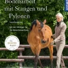 Bodenarbeit mit Stangen und Pylonen