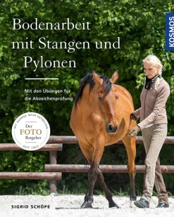 Bodenarbeit mit Stangen und Pylonen