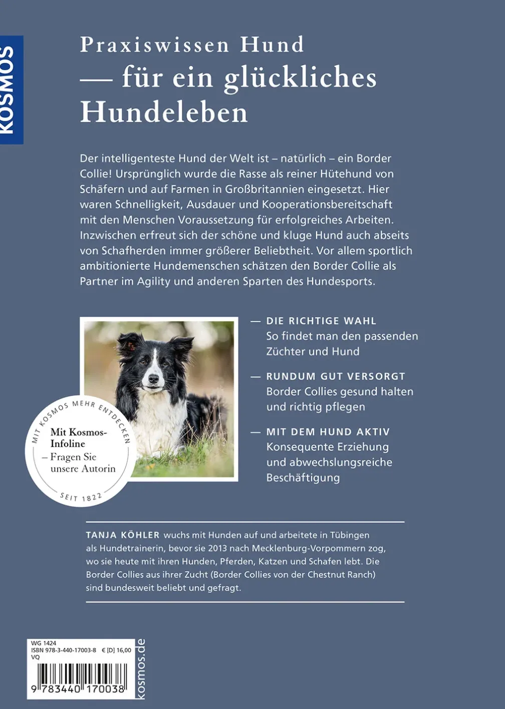 Border Collie