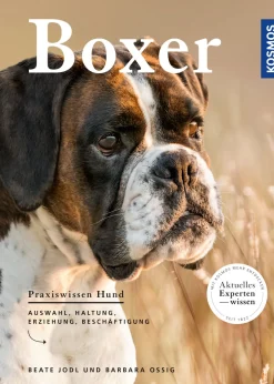 Boxer