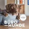 Bürohunde