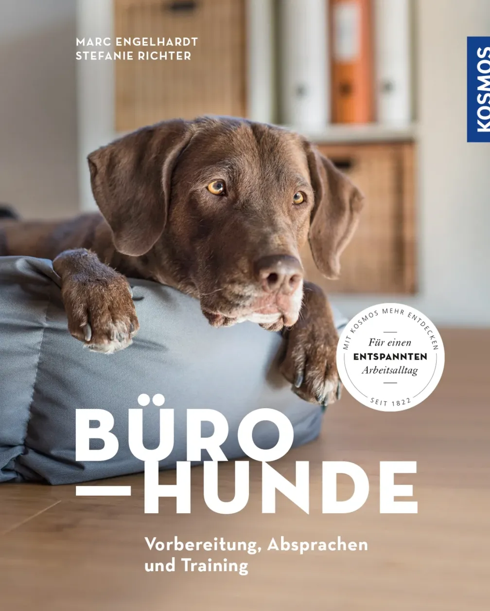Bürohunde