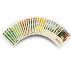 CATAN - Das Spiel - 5-6 Personen Erweiterung - Karten - Zubehör