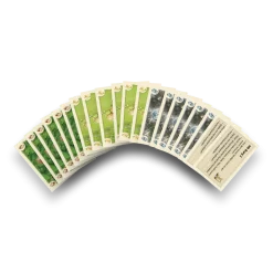CATAN - Städte & Ritter - 5-6 Personen Erweiterung - Karten - Zubehör