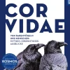 Corvidae