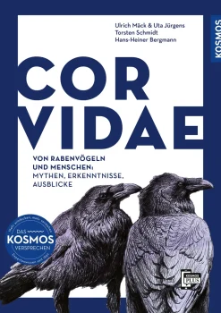 Corvidae
