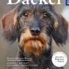 Dackel