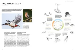 Das Buch der Gartenvögel