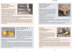 Das Pilzbuch für Kids