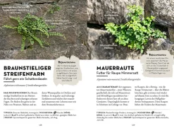 Das wächst in deiner Stadt