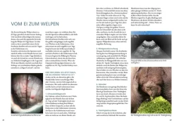 Das Zuchtbuch