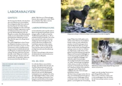 Das Zuchtbuch