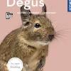 Degus