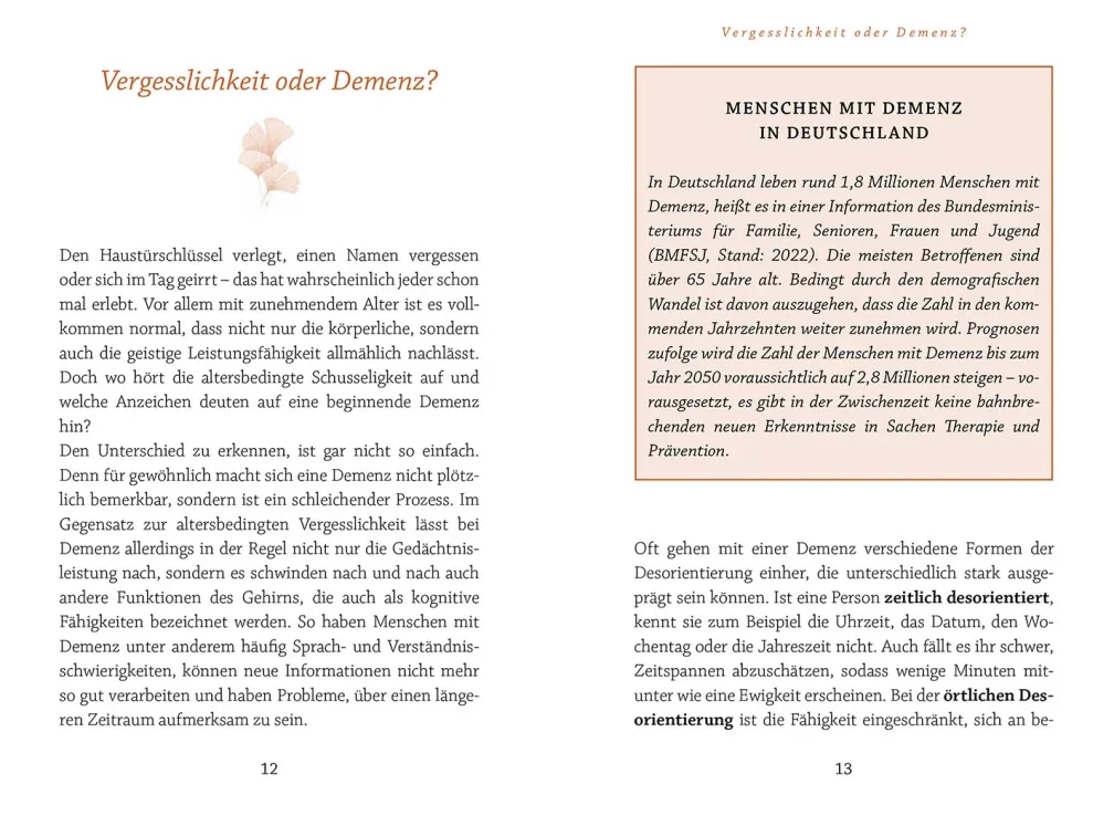 Demenz verstehen